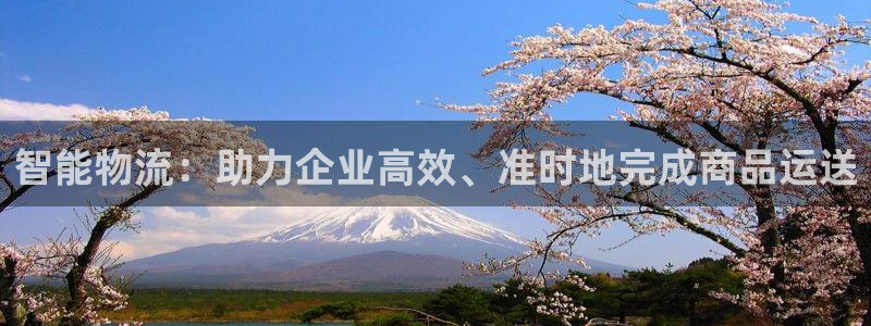 豪门国际注册链接入口：智能物流：助力