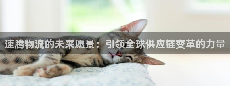 豪门国际注册登录链接流程：速腾物流的未来愿景：引领全球供应链