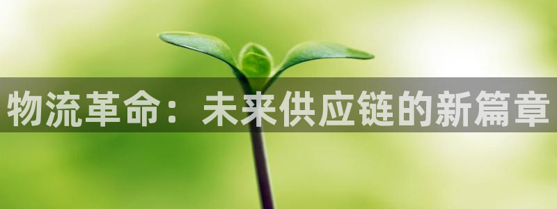 豪门国际提款一直没到：物流革命：未来