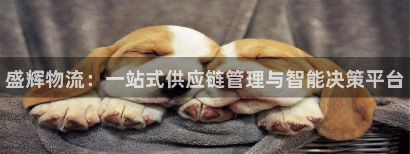 豪门国际官网版2024：盛辉物流：一