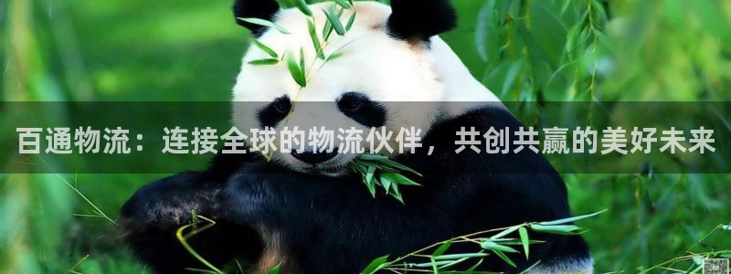 豪门国际官网下载链接是什么：百通物流