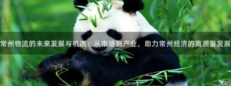 豪门国际是啥：常州物流的未来发展与机