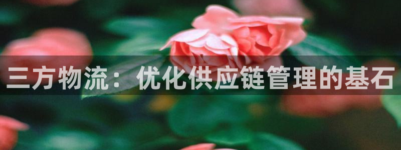 豪门国际登录用户名登录不上：三方物流