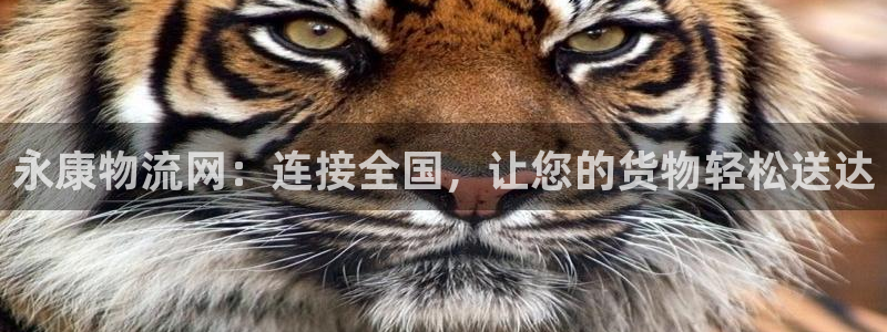 豪门国际百度百科：永康物流网：连接全国，让您的货物轻松送达