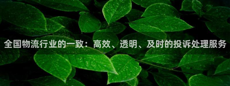 豪门国际官网多少：全国物流行业的一致：高效、透明、及时的投诉