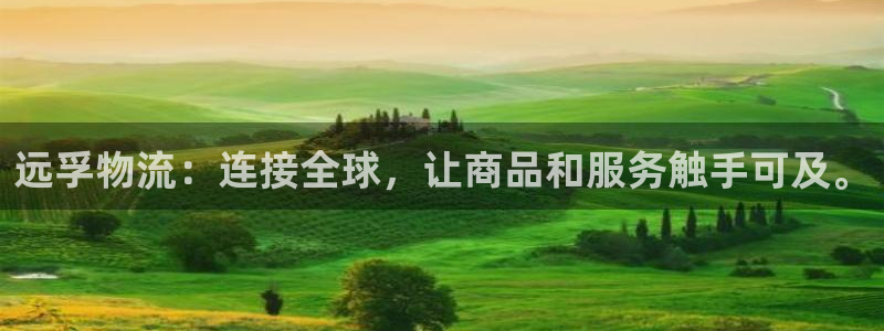 豪门国际加拿大：远孚物流：连接全球，