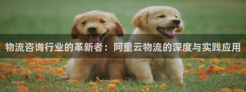 豪门国际网赌有什么风险：物流咨询行业的革新者：阿里云物流的深