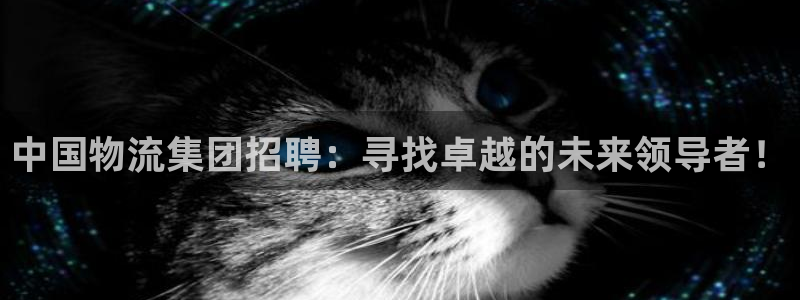 豪门国际app赢了500万：中国物流