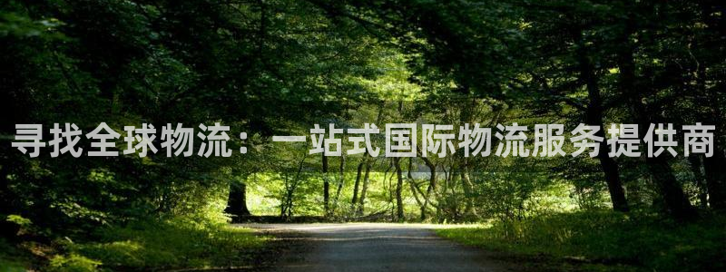 豪门国际反水什么时候到：寻找全球物流