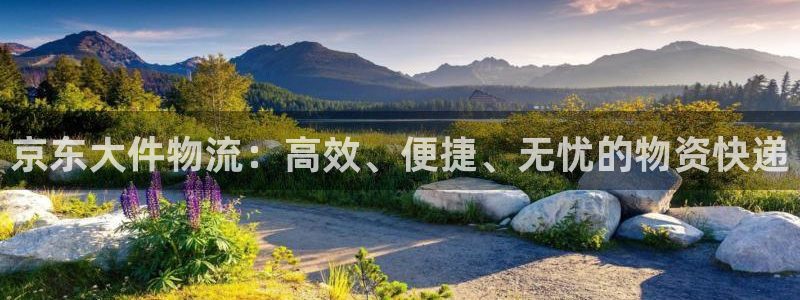 豪门国际赌博被抓：京东大件物流：高效