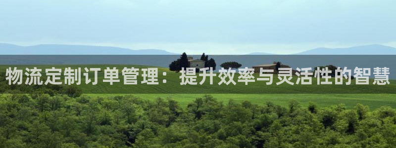 豪门国际是啥：物流定制订单管理：提升
