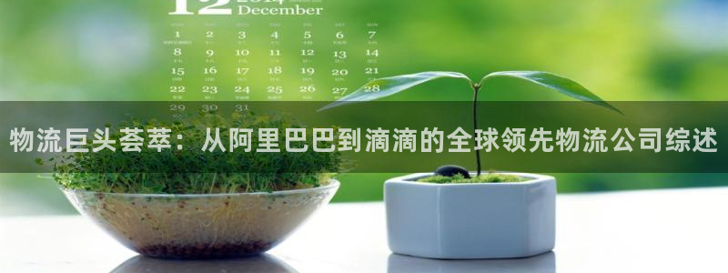 豪门国际注册网址：物流巨头荟萃：从阿
