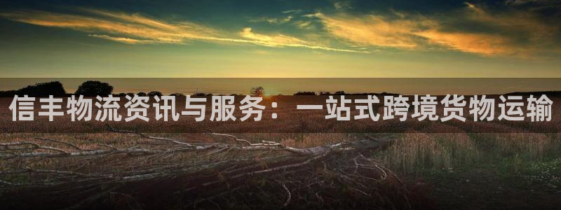 豪门国际大舞台：信丰物流资讯与服务：